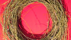 Projekt: Floristen gestalten mit Sprossachsen